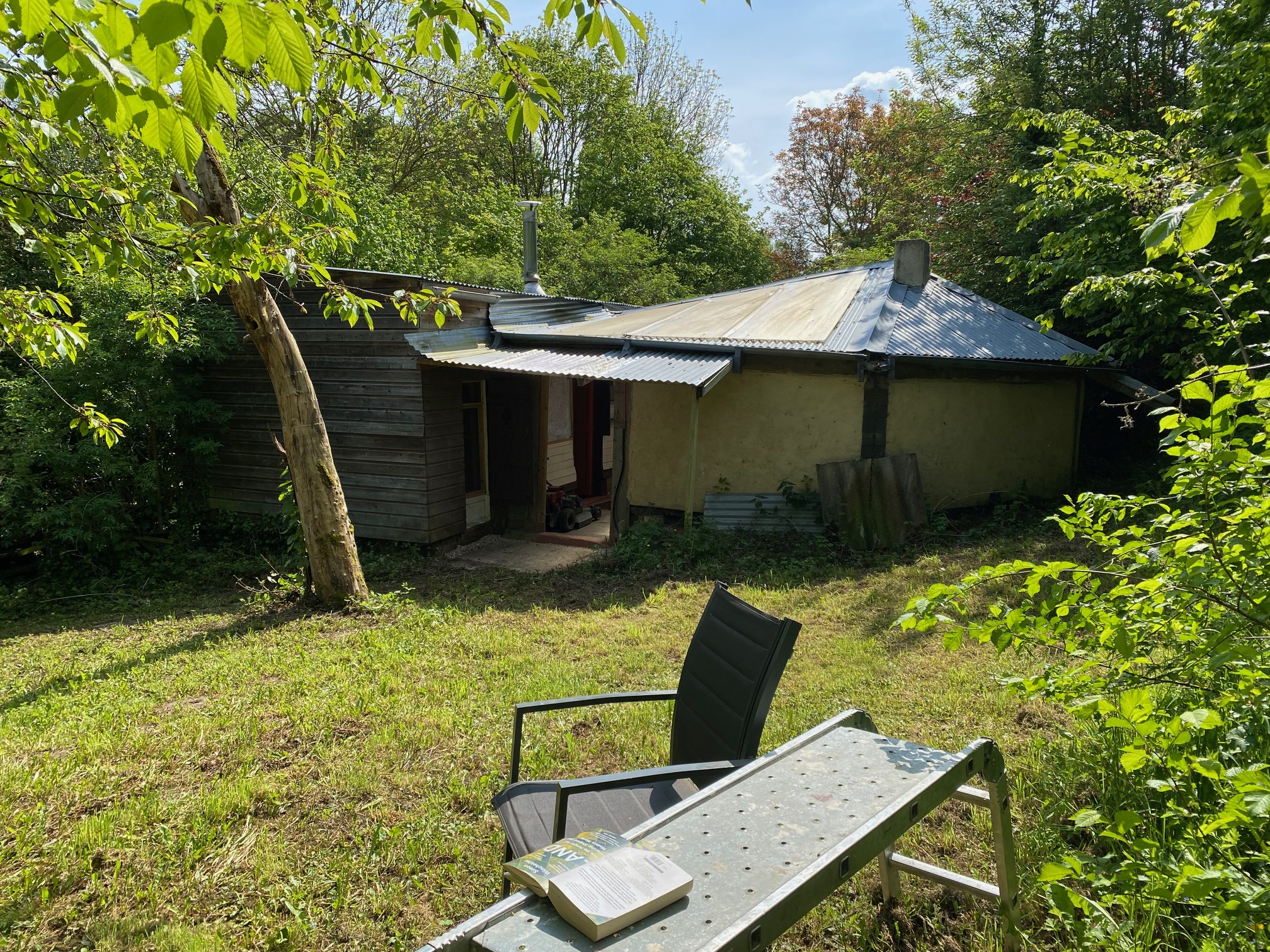 36045a49.jpg
