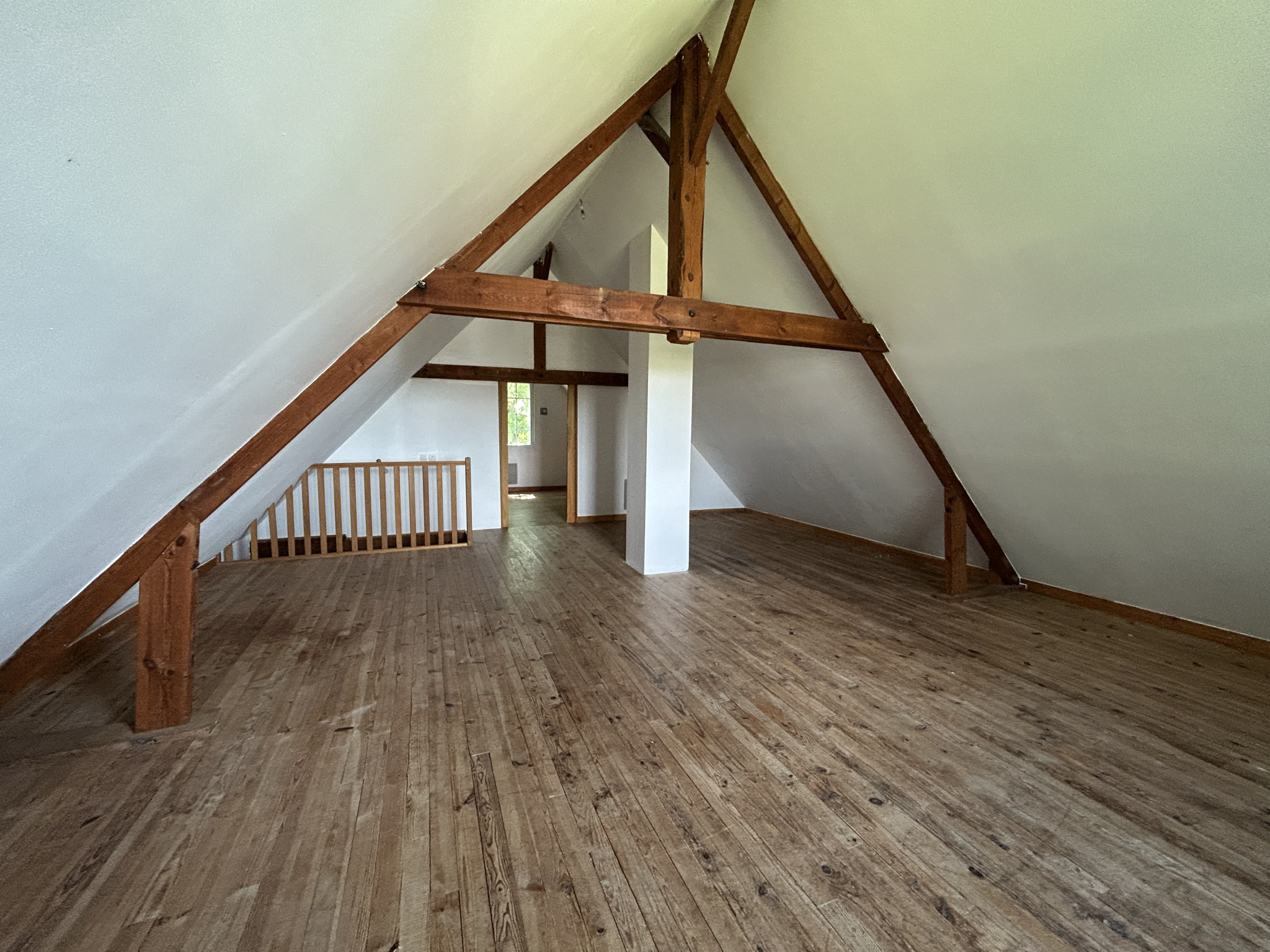 d3270f99.jpg