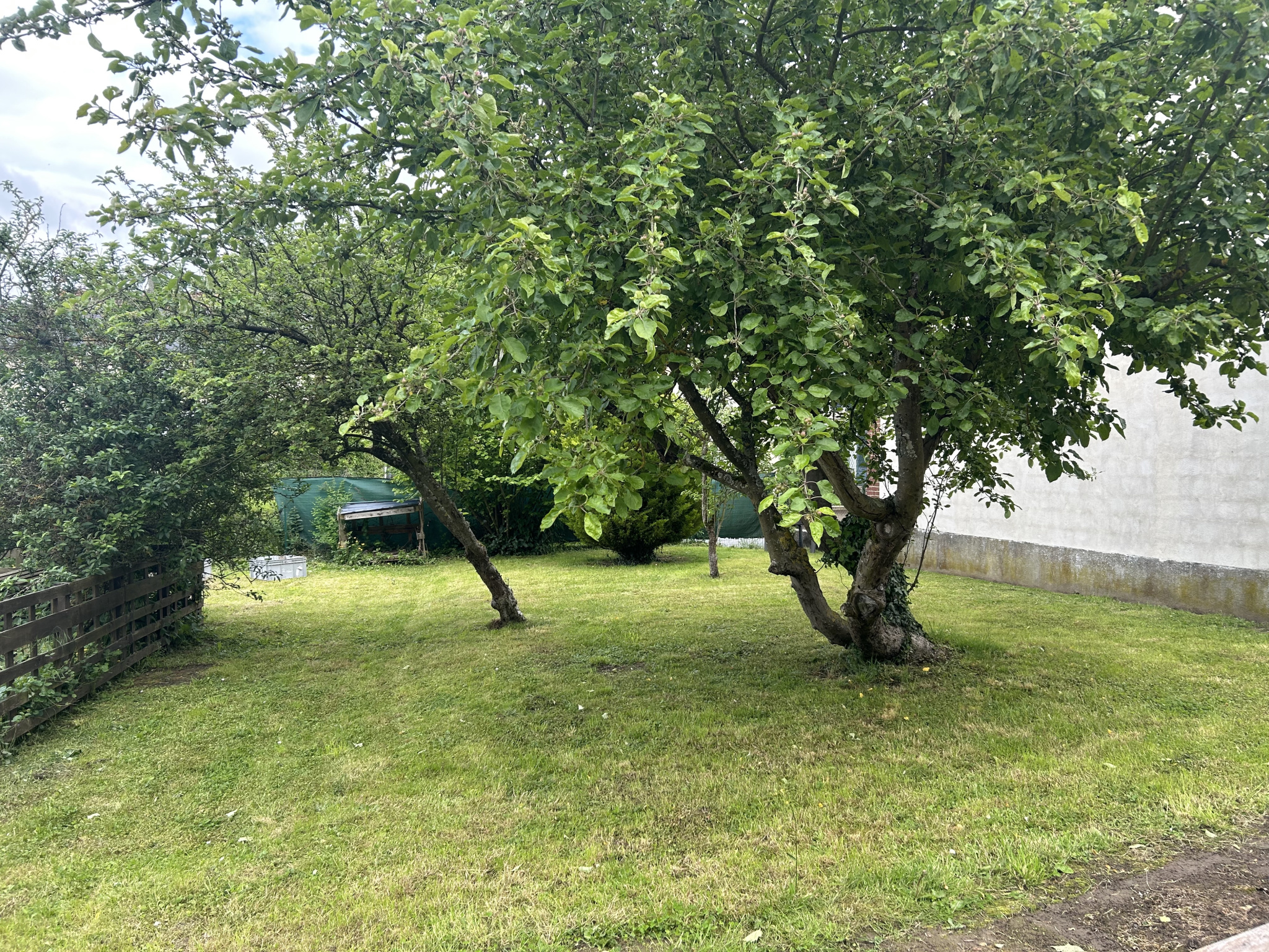 07754739.jpg