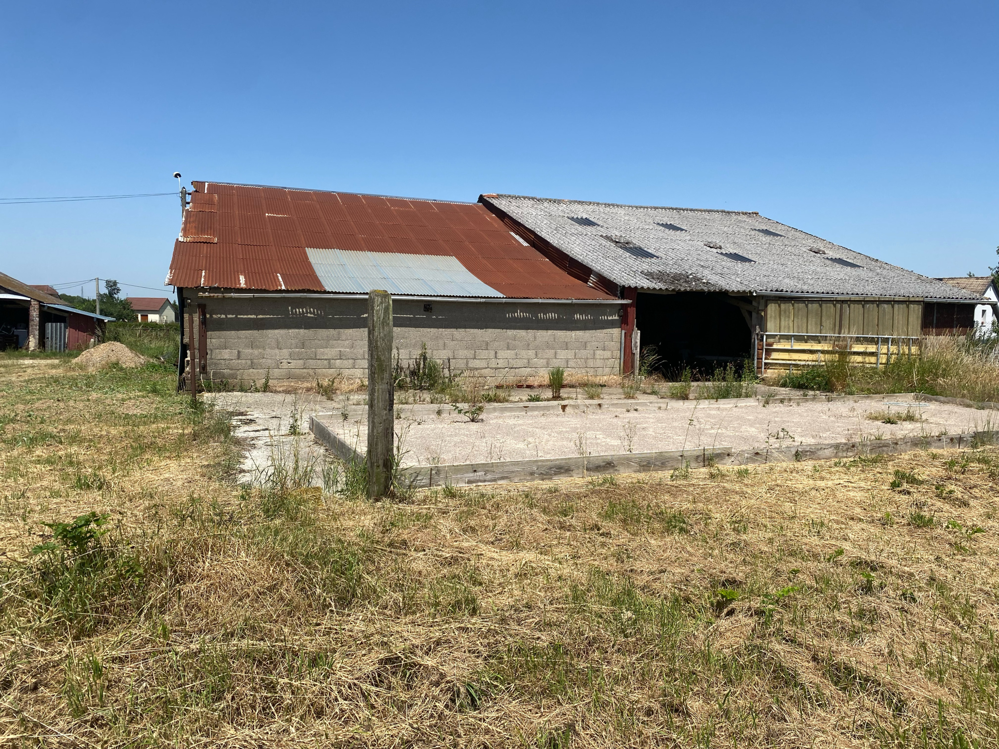 1b899856.jpg