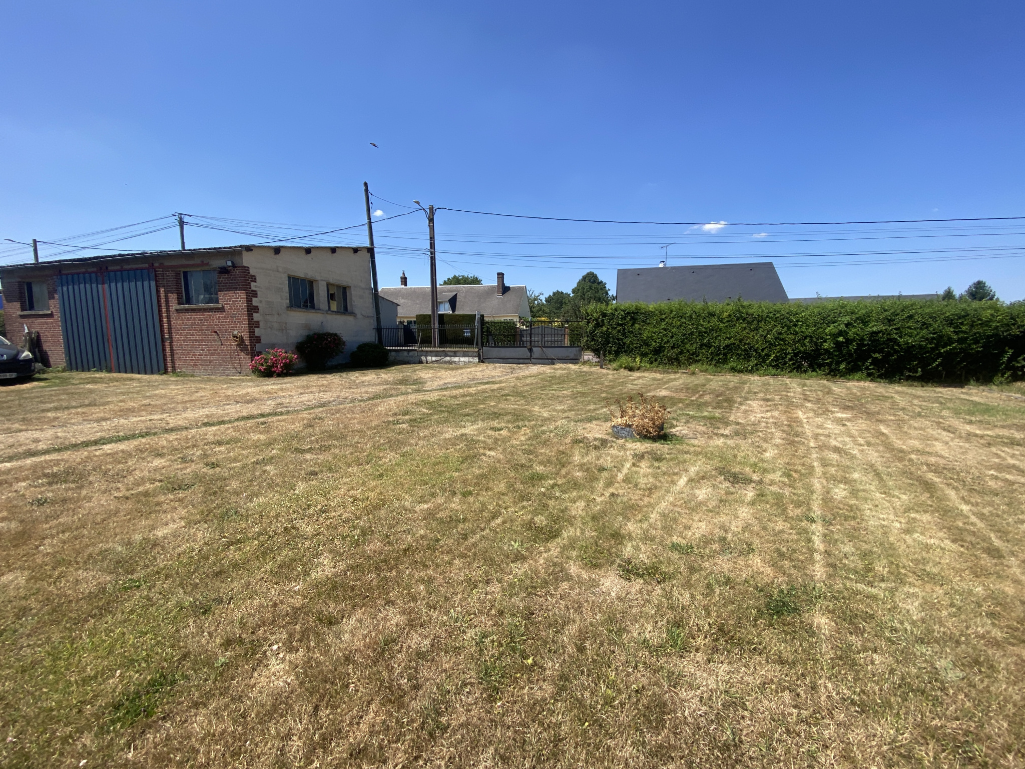 24b3084d.jpg