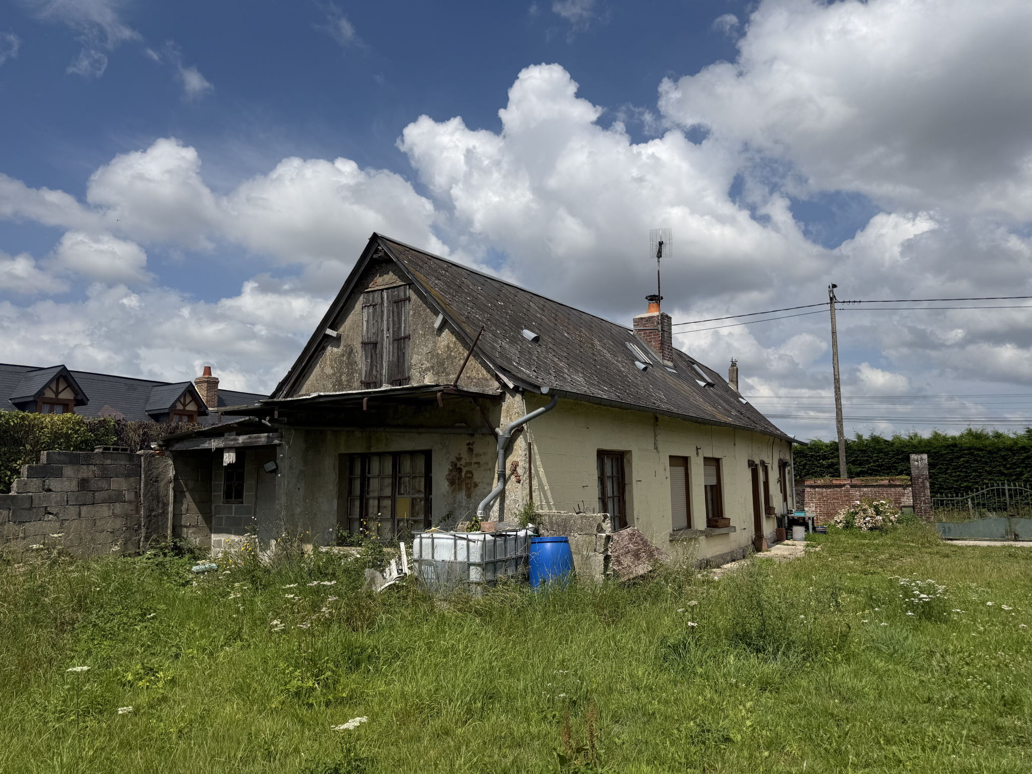 dfeae038.jpg