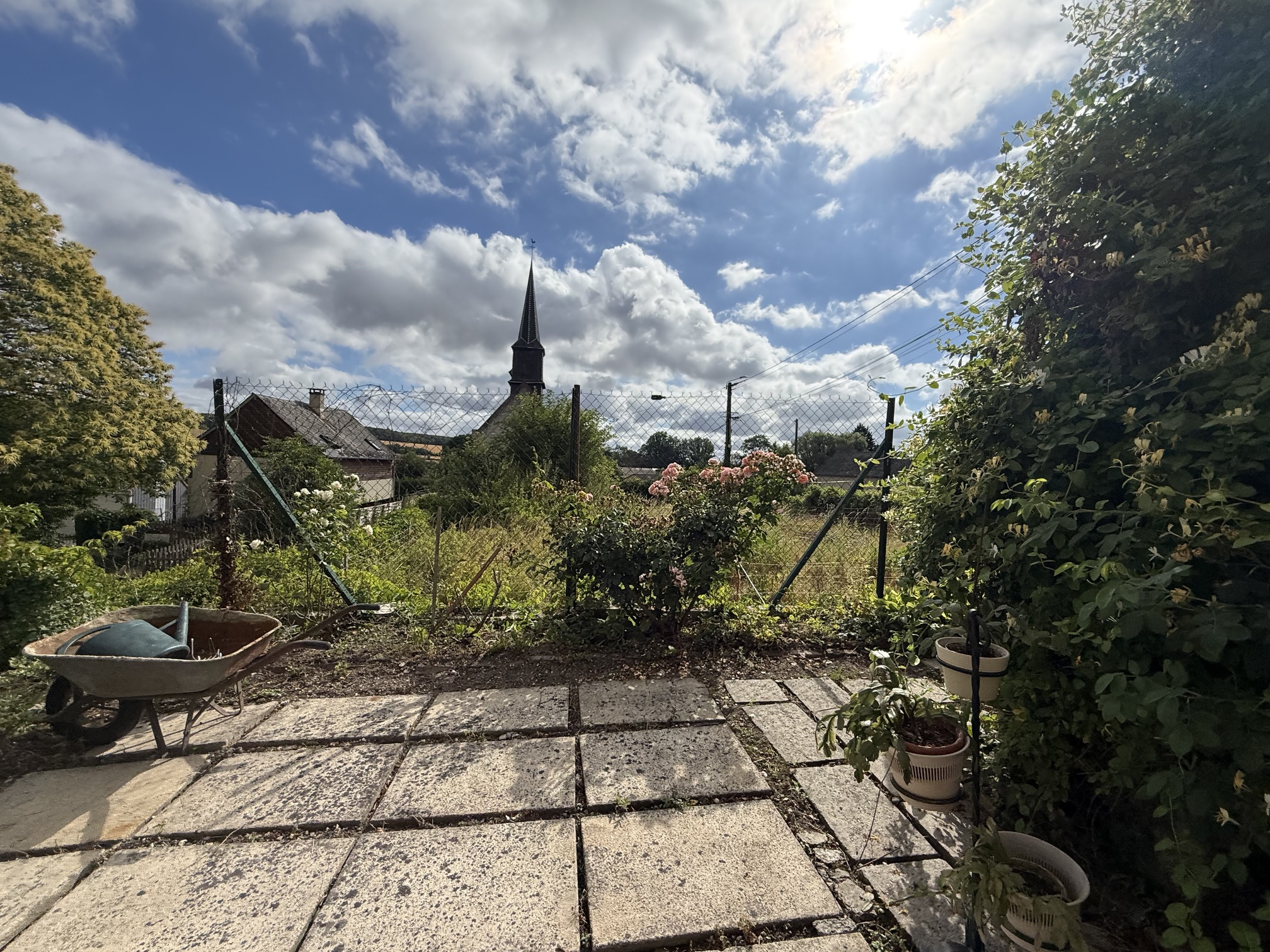 f64625e7.jpg