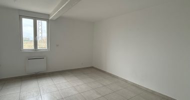 137ef066.jpg