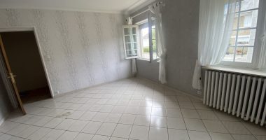 46602992.jpg